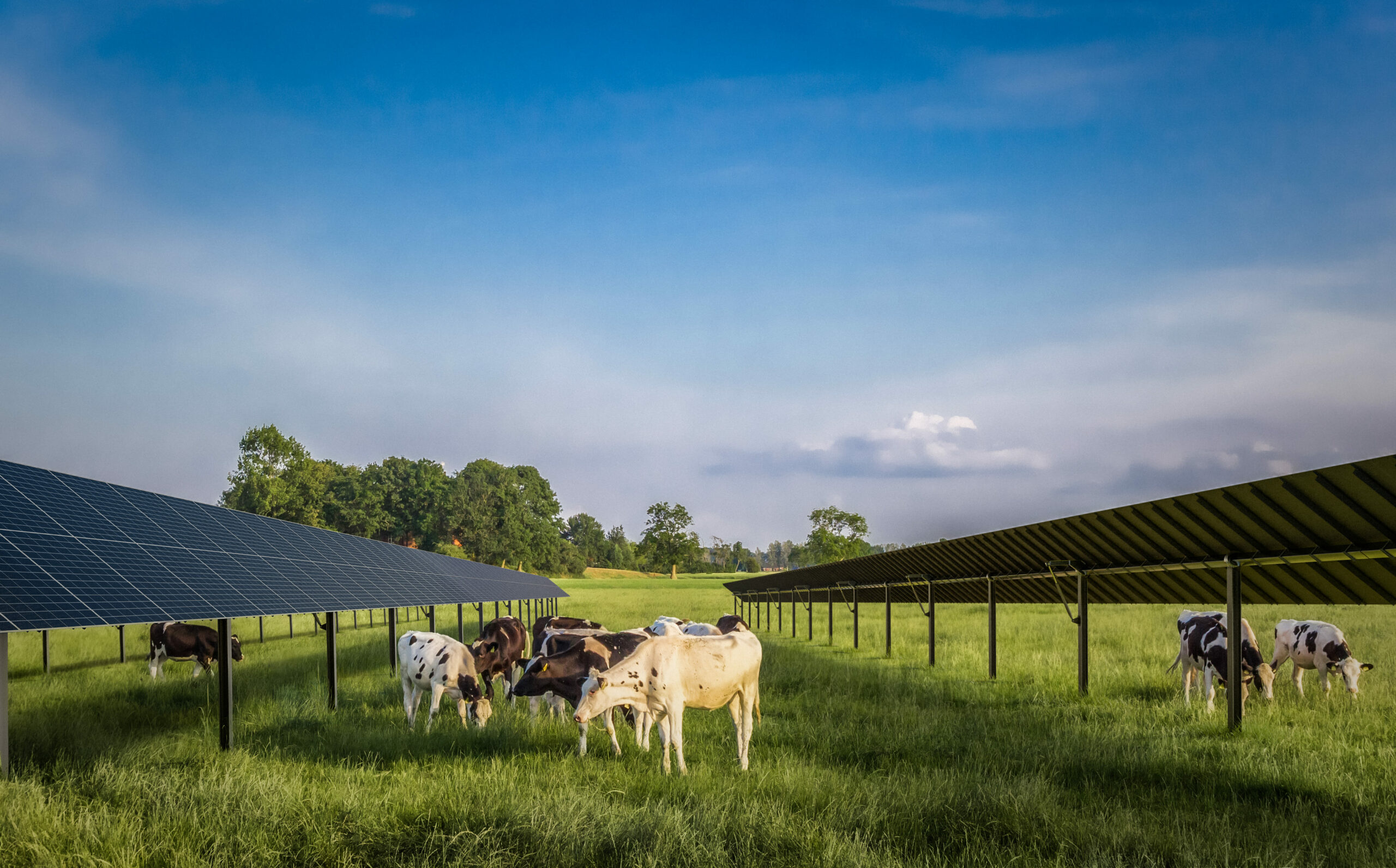 Parc agrivoltaïque du Père Etienne​